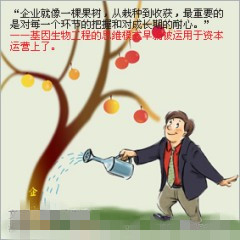 企业在竞争中生存